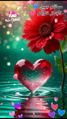 #القلوب_الطيبه #مسائكم_سعادة_لاتنتهي #اسعد_الله_جميع_اوقاتكم🌹🌹 #مساء_الخير #مسائيات 