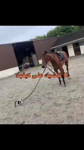 عطها على جوها 😂🦦#اكسبلو 