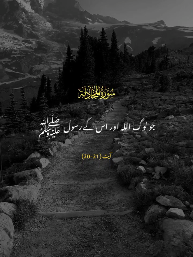 SURAH AL-MUJADILAH  VERSES 20-21  #duniyaaefaanii #quran_alkarim #tarjuma #urdutarjuma 