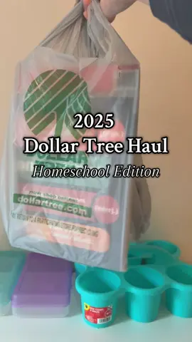 Ran to the dollar store looking for a few things and walked out with a few extra!  What are your favorite dollar store finds for homeschooling?  #homeschoolersoftiktok #homeschoolmom  