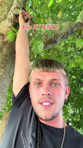 #perte #perteeee #neiperte #neiperteee #fyp #news #viral #viralvideos #viralditiktok #viraliza #videos #videosnapchallenge #videoviral #videotiktok #viralfyp 