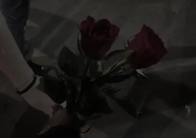 ♥️.. #tiktok #viral #fyp @TikTok 