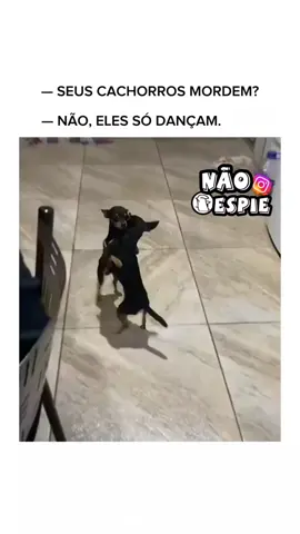 #humortiktok #naoespie #memesbr 