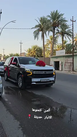 الانبار حديثة  #الانبار_حديثة #احبكم #متابعه_ولايك_واكسبلور_احبكم #لايك__explore___ 