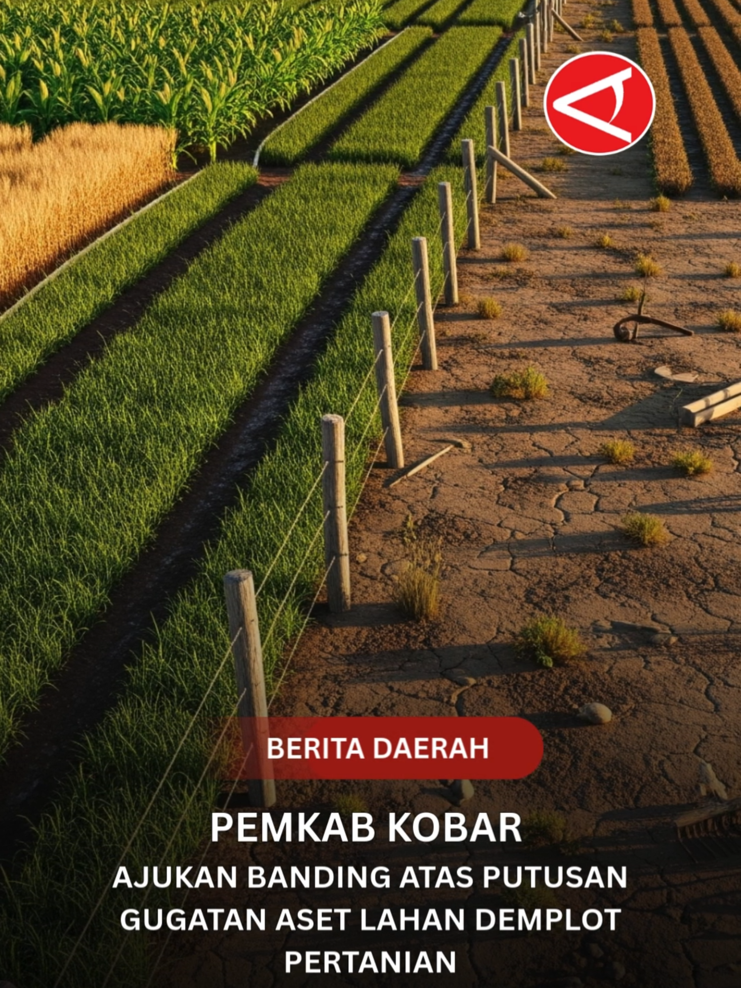 Pemkab Kotawaringin Barat resmi mengajukan banding ke Pengadilan Tinggi terkait putusan gugatan aset lahan demplot pertanian di Jalan Padat Karya, Pangkalan Bun 🌱⚖️ Wabup Suyanto menegaskan, pemerintah daerah punya kewajiban menjaga aset pertanian yang sejak awal diperuntukkan bagi kepentingan masyarakat dan petani. DPRD Kobar pun memberikan dukungan penuh. 👉 Menurut kalian, apakah langkah banding ini akan menguatkan posisi Pemkab di mata hukum? 📲 Cerita lengkapnya inspiratif banget dan wajib kamu baca! 👉 Follow sosial media ANTARA Kalteng untuk info keren dan inspiratif lainnya! 📖 Baca selengkapnya di: https://kalteng.antaranews.com #KotawaringinBarat #Kobar #PemkabKobar #BandingPengadilan #AsetDaerah #DemplotPertanian #PertanianKobar #WabupKobar #PengadilanNegeri #PengadilanTinggi #BeritaKalteng #BeritaKobar #BeritaDaerah #PetaniKobar #Kalteng #AntaraKalteng Pewarta: Safitri RA