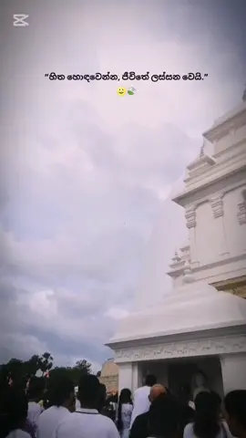 🙂🍃