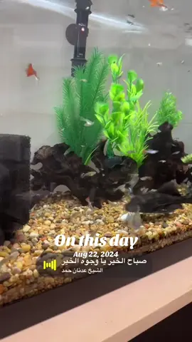 #onthisday 