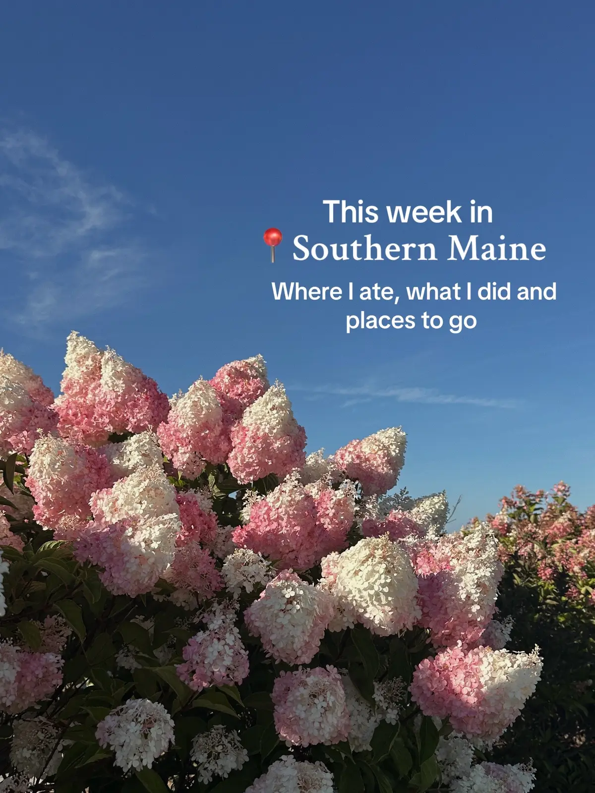 Where I ate, what I did and places to go! #portlandmaine #kennebunkportmaine #mainelife 