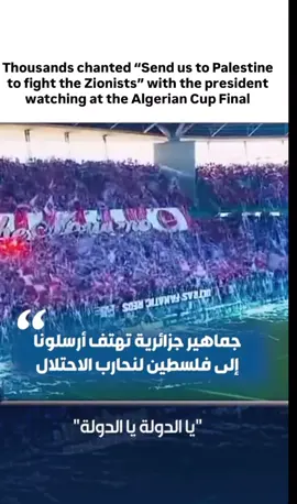 ALGERIAN CUP FINAL #sports #algeriancup #finals #sportsmanship #win 
