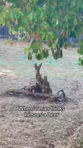 Oh Deer 🦌 🤦🏻‍♀️  #silly #funnyvideo #couplescomedy #comedyvideo #relationships 