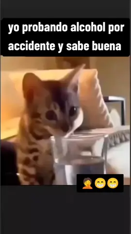 #mininoborrachin🙈🤦