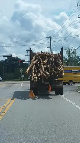 #finaldestination