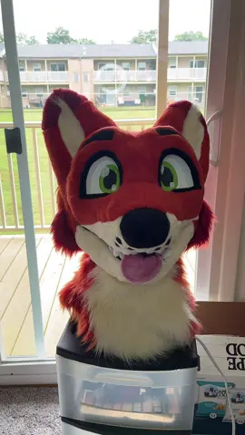 Dhole head! #furry #furryfandom #fursuit #fursuitmaker 