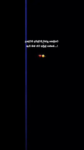 🥺❤️✨️ #foryoupage #fyp #trending #fyppppppppppppppppppppppp #trendingvideo 