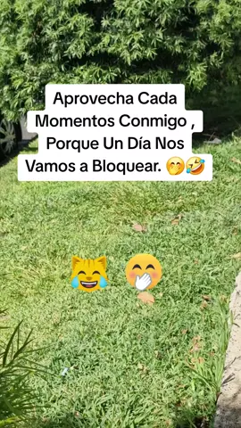 #Aprovecha cada momento conmigo, Porque Un Día Nos vamos a Bloquear#jajajaja #humor #Meme #viralparatiiiiiiiiiiiiiii🤭😂 