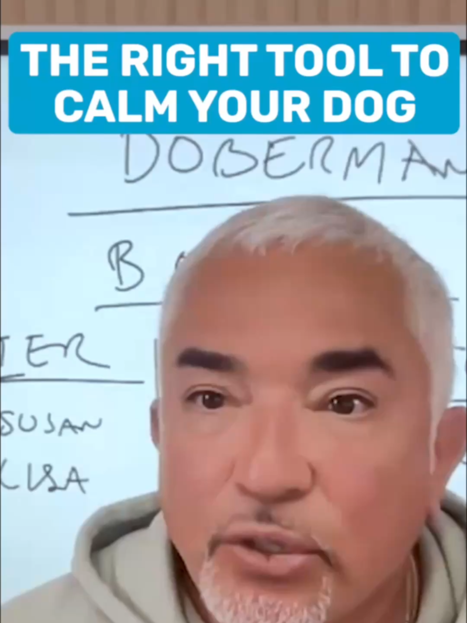 Does your dog pull, lunge, or bite from excitement? The right tools can calm their mind and redirect their energy — join Cesar live in the Pack Leadership Community. Link in bio. ¿Tu perro jala, se lanza o muerde por exceso de entusiasmo? Con las herramientas correctas puedes calmar su mente y redirigir su energía. Únete en vivo a César en Pack Leadership Community.  👉 Link en bio.