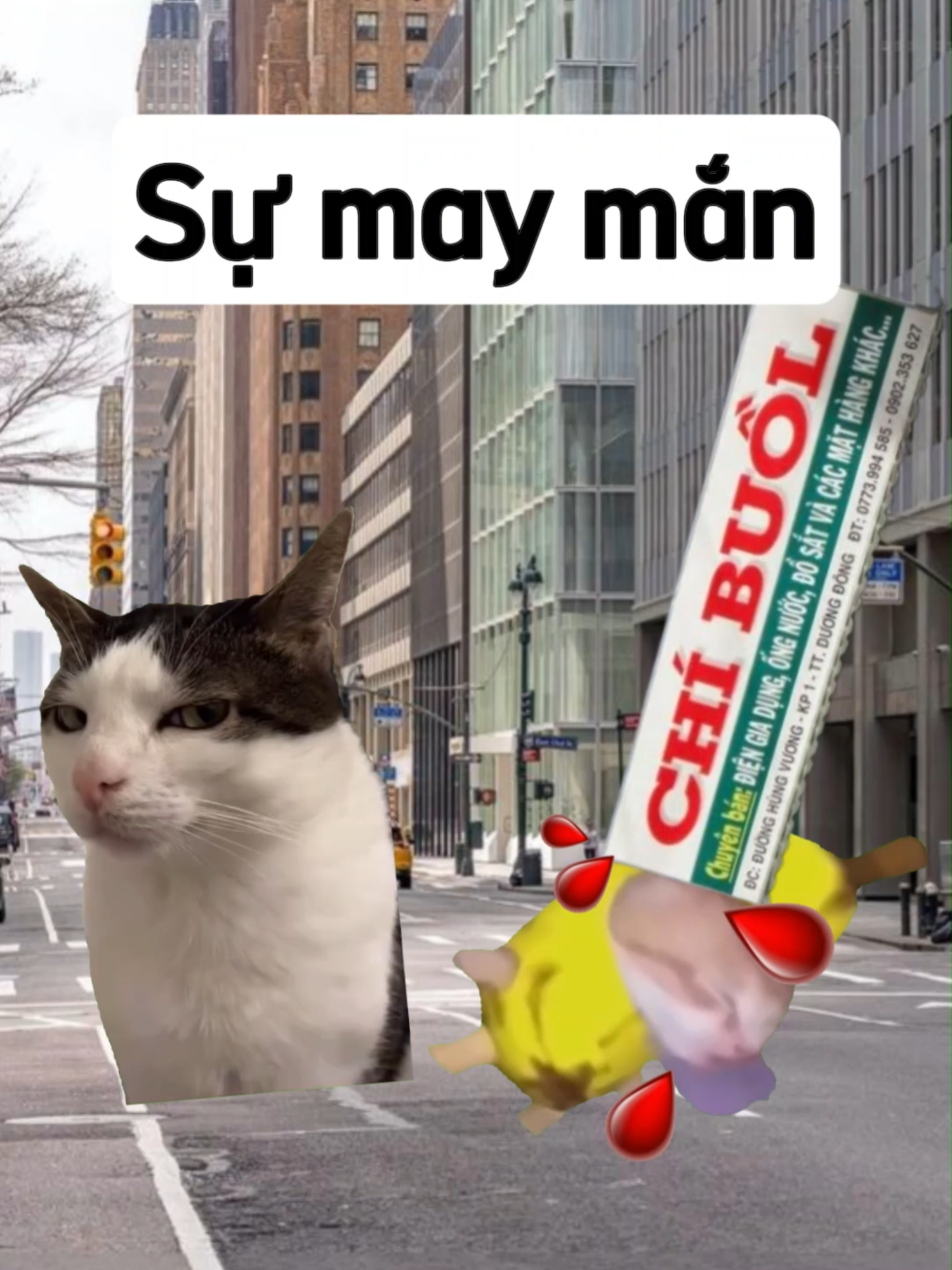 Sự may mắn  #meme #funny #cheems #fyp #foryou #fpyシ #xuhuong #viral #cat #2k #trending