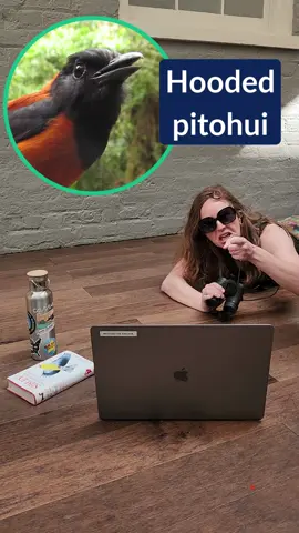 👩‍🏫 Teachers, this one’s for you. Bring science to life with free lessons, activities (like birding 🐦), and practice your students will love. 🌍🔬 Click the link in bio to explore everything you need for science class. This activity was made possible thanks to the Amgen Foundation.