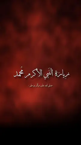 السلام على صاحب السكينة  السلام على المدفون بالمدينة  #زيارة_النبي_صلى_الله_عليه_وآله_وسلم #استشهاد_النبي_الأعظم #CapCut 