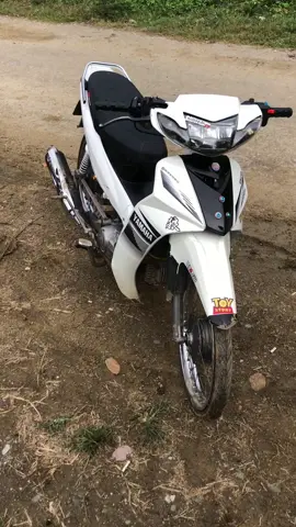 #xuhuongtiktok 