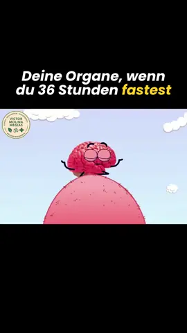36 Stunden Fasten – was passiert wirklich im Körper? 🤯 ‼ Kommentiere: Ratgeber 🎁 Kostenloser Heilfasten Ratgeber – die 6 tiefgreifenden Wirkungen erklärt + warum Fasten dein Leben verändern kann! „In Ordnung, heute fasten wir 36 Stunden.“ – „Was? Gehirn, bist du verrückt? Das hält doch keiner aus!“ – „Doch, wir schaffen das. Warte nur ab – du wirst mir später danken.“ So läuft das Fasten wirklich ab – aus der Sicht deiner Organe: ⏳ 6 Stunden: 👉 Glukose geht zur Neige – aber Glykogen-Reserven springen ein. 👉 Dein Körper beruhigt sich – der Hunger kommt, aber du bleibst stabil. ⏳ 12 Stunden: 👉 Glykogen fast aufgebraucht. 👉 Wachstumshormone steigen – Muskeln werden geschützt. 👉 Ketone aus Fettproduktion starten – dein neuer Treibstoff! ⏳ 20 Stunden: 👉 Müdigkeit? Ja. 👉 Doch dein Gehirn: wacher, klarer, fokussierter. 👉 Autophagie beginnt – Zellen reparieren sich, Gifte & Müll werden abgebaut. ⏳ 36 Stunden: 👉 Der Körper fährt ein komplettes Reset-Programm. 👉 Entzündungen sinken, alte Zellen verschwinden, neue Energie entsteht. 👉 „Das Beste, was mir in diesem Jahrzehnt passiert ist!“ Dein Körper feiert eine innere Reinigung – ohne Pillen, ohne Superfoods. Nur DU und deine eigenen Reserven. ‼ Kommentiere: Ratgeber 🎁 Kostenloser Heilfasten Ratgeber – die 6 tiefgreifenden Wirkungen erklärt + warum Fasten dein Leben verändern kann! Fasten Reset, Autophagie starten, Ketone Energie, Entzündung senken, Zellerneuerung, Wachstumshormone, Detox Körper, Stoffwechsel Reset, Gehirn klarer, Selbstheilung aktivieren #FastenWirkung #KörperReset #Autophagie #Selbstheilung #Fastencode