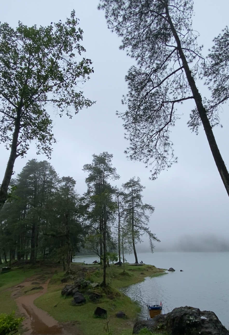 Selalu cinta banget sama vibes tempat ini, gapernah bosen kalopun sering kesini, ciptaan Allah selalu luar biasa masyaallah🥹🤍  📍 situ patenggang, ciwidey  #placetogo #situpatenggang #ciwideybandung #pesonaindonesia #bandungpunyacerita 