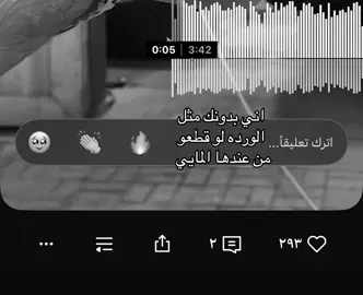 #اكسبلور #اغاني #عراقي #fyp 