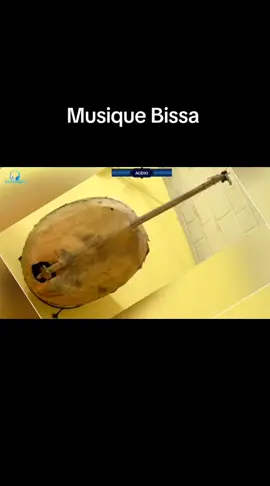 Musique Bissa #bissanognino🥭 #bissa #burkina #burkina #bissa 