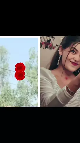 #duet with @Puja pandit  #greenscreen