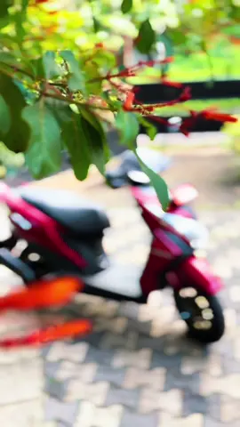 වෙනස්කම් ගොඩක් එක්ක ආපු HONDA DIO එක 🥰🌈 #fayyyyyyyyyyyyyyyyy #hondasrilanka #honda #hondadio #dio #bik #bikpisso  #brandnew #Lifestyle #vlogger #srilankan_tik_tok🇱🇰  #srilanka #bandargama #capcut 