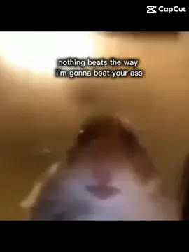 #Meme #MemeCut 