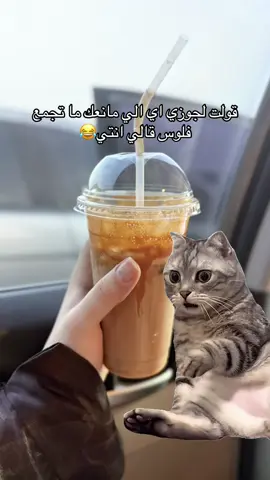 #Meme #MemeCut #fyp #foryou 