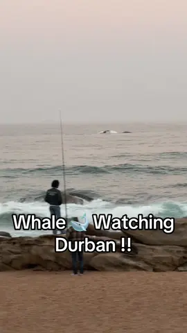 Wait for it… #fyp #viral #whale #tiktoksa #durbantiktok 