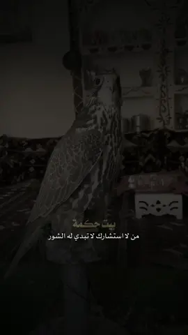 بيت حكمة 👌🏼 #شعر #شعر_وقصائد #قصيد 