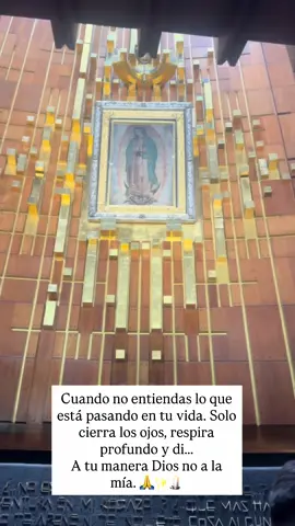 Confio en ti! #Dios #virgendeguadalupe #cuidaddemexico 