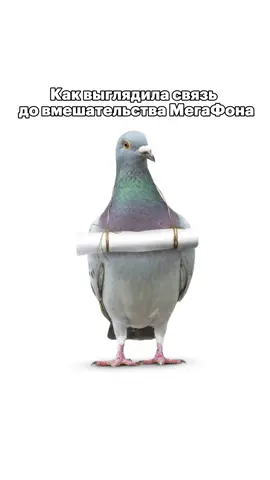 Дикие СМС писали латиницей, чтоб больше влезло