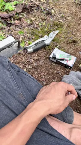 #CapCut 