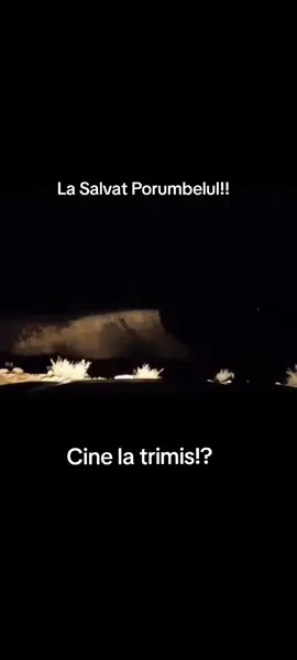 Bine ca a intervenit Porumbelul!! 🤔