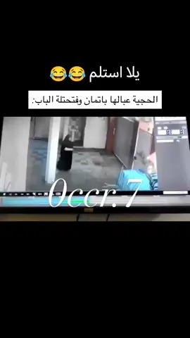 تكول شبعني دك الكواد يمااا 🤣🤣🤣🤣#الشعب_الصيني_ماله_حل😂😂 #سطو #العراق #باتمان_العراقي #الحجيه_متتفاهم 