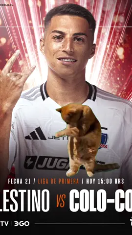 Hoy juega el Cacique desde las 15:00 horas contra Palestino en el Estadio Municipal de La Cisterna #LigaDePrimera #vamoscolocolo #cacique #TikTokDeportes 