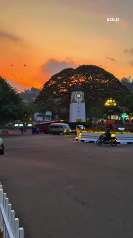 Part 17 | Kandy 🤍 | මතකය පාරනා නුවර හැන්දෑවක 🧡 | #kandy #kandyvibes #cityoflove #solotraveller #visitsrilanka🇱🇰 