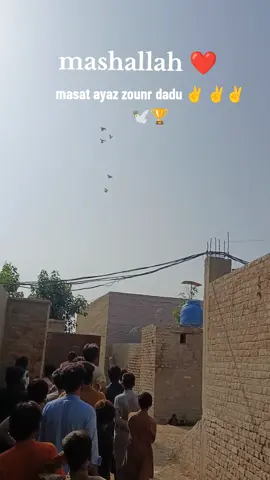 #✌️✌️✌️ 