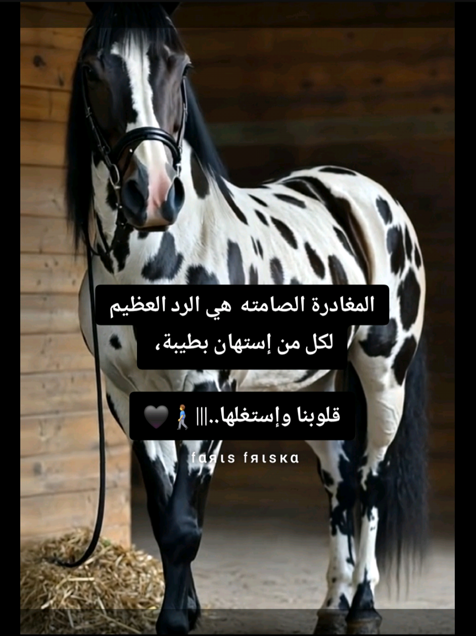 #عالم_متصنع #لا_آمان_للبشر #🐎 #fyppppppppppppppppppppp 