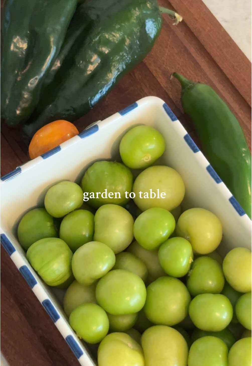 Salsa and Salsa Verde this week 🍅🧅🌶️🫑🪴#gardening #gardentotable #gardensalsa #salsaverde #tomatillo 