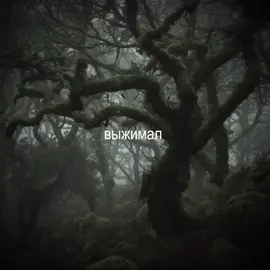 все треки в тгк|| #lyrics #music #song #музыка #v1skt 