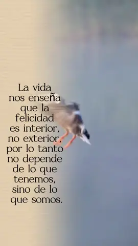 Frases #frase #reflexion 