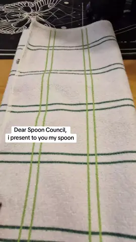 What do you say?  #spooncouncil #spoon #tism #ducks #ratemyspoon 