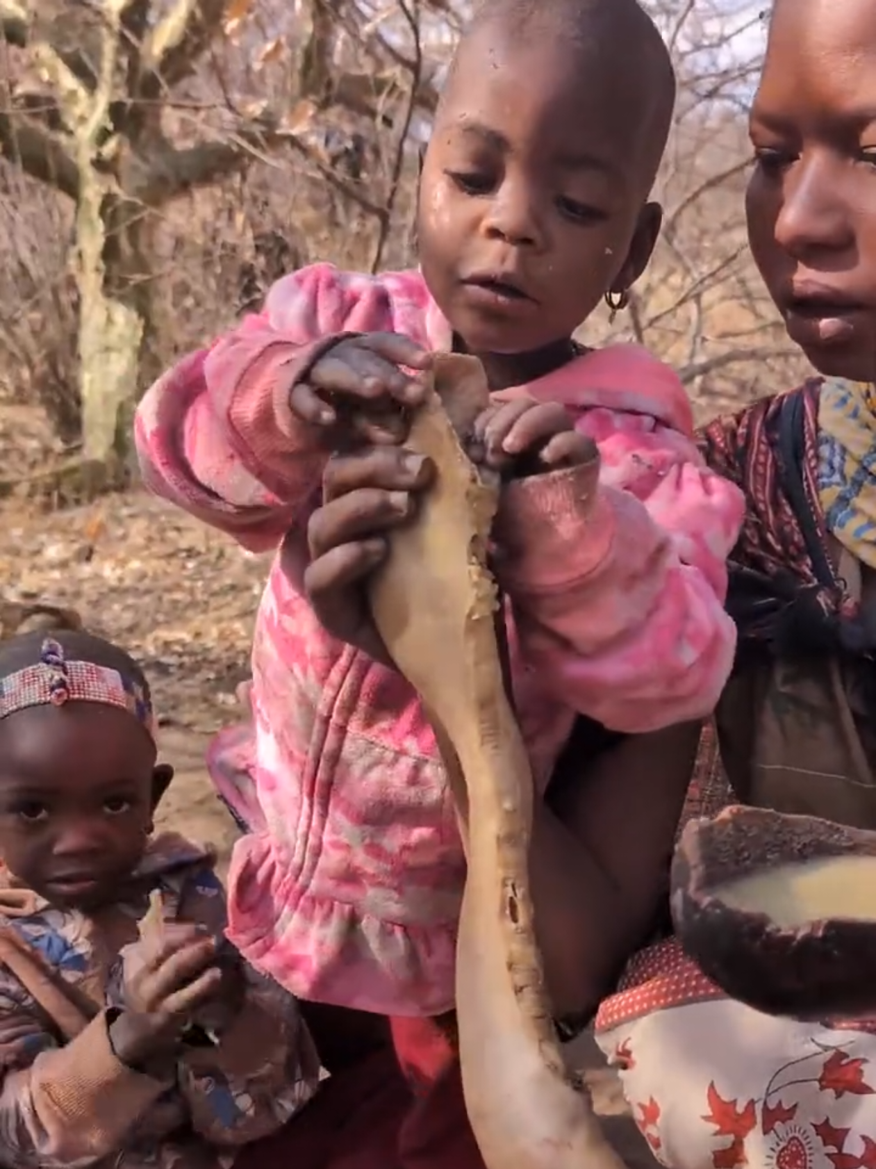 Life and activities of the Tribe in Africa #hadzabe​ #hadza​ #gathering​ #africantribes​ #eating 