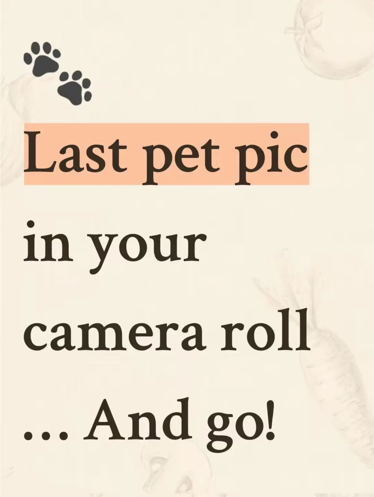 #doglover #dogdad #dog #dogsoftiktok #mlm 