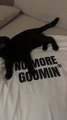 DISPO MAINTENANT -10% avec  « goumin » lien en bio #streetwear #goumin 